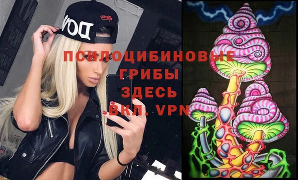 тгк Карпинск