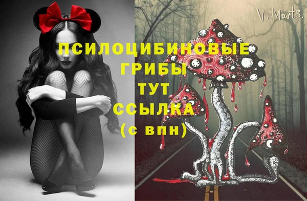 тгк Карпинск