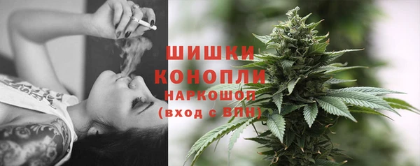 тгк Карпинск