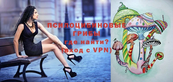 тгк Карпинск