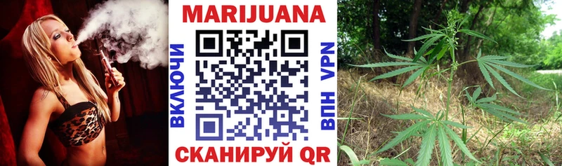 где купить наркотик  Элиста  Канабис марихуана 